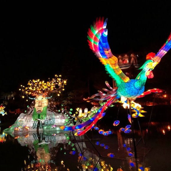 Meet your Posher, Charlotte - Picture 2 of 2